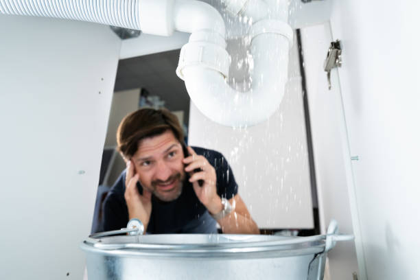 Best Plumbing Repair Near Me  in Elbow Lake, MN