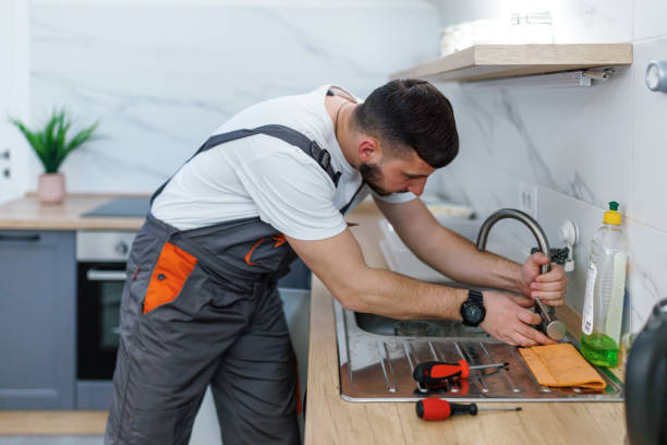 Best Local Plumber Services  in Elbow Lake, MN